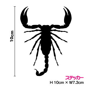 yVGbgXebJ[zT\ XR[sIB 10cm yJ[11ށz] JbeBO fJ[ h  T[tB oCN wbg Xm[{[h B V[ 3M  yV 