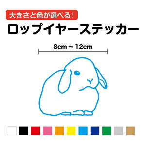 JbeBOXebJ[bvC[ 8`12cmV[ 3M  Aj} GL]`bN ETM e rbg rabbit L[ P[X |Cg  oCN wbg Xm[{[h JbeBO