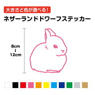 カッティングステッカーネザーランドドワーフ 8～12cmシール 3M 動物 アニマル エキゾチック ウサギ ラビ…