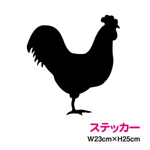 JbeBOXebJ[ { VGbg c25cm ɂƂ jg  ] 킢 V[ AEghA h ϐ  X X 傫 rbO B LY |Cg 3MiX[G