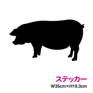 JbeBOXebJ[  VGbg 35cm Ԃ u^  ] 킢 V[ AEghA h ϐ  X X 傫 rbO B LY |Cg 3MiX[Gj yV 