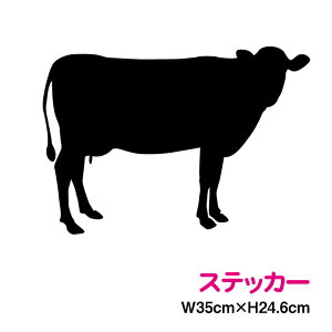 JbeBOXebJ[  VGbg 35cm N  ] zX^C a x V[ AEghA h ϐ  X X 傫 rbO B LY |Cg 3MiX[Gj