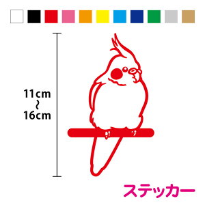 JbeBOXebJ[IJCR 2@11`16cmV[ 3M  Aj} o[h  CR parakeet cockatiel L[ P[X |Cg   ٓ oCN wbg Xm[{[h Jb