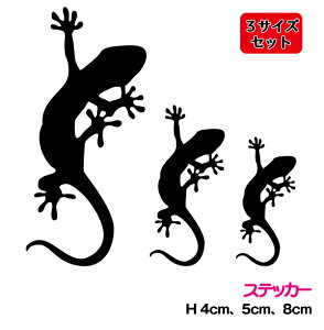 y3TCYZbgz  JbeBOXebJ[ 4cm 5cm 8cm3M(X[G) fJ[ VGbg  Ǝ |Cg  AEghA h ϐ  oCN ঒ wbg B 