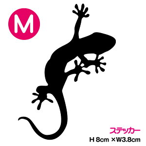 yJbeBOXebJ[z XebJ[ MTCY 8cmgecko QbR[  LYB oCN wbg 킢  V[ JbeBO AEghA h JbeBOV[g Ǝ 