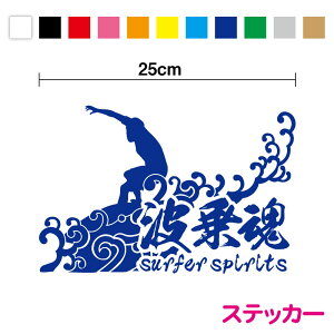 g捰I T[t@[ XebJ[ 25cmyIׂJ[11Fz T[tB  C }X|[c  JbeBO fJ[ V[ AEghA h ϐ   3M yV ʔ