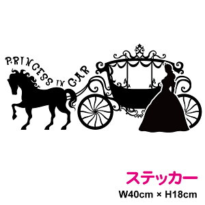 PlԒII40cmyIׂJ[11ށzԂoCNɁAOόAh̍rtBgpĂ܂̂ŃXm[{[hT[t{[hɂ\܂킢 