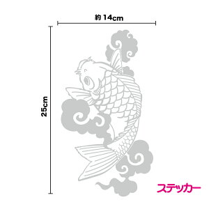  25cm XebJ[VGbg  RC   a 킢 V[ h AEghA oCN Xm[{[h X[cP[X ڈ yV ʔ