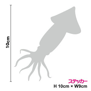 yVGbgXebJ[z@CJ_ByJ[11ށz]ʁ@XebJ[@JbeBO@fJ[@h@ԁ@T[tB@oCN@wbg@Xm[{[h@B@@V[