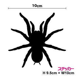 yVGbgXebJ[zNB 10cm ] JbeBO fJ[ h B  T[tB oCN XpC_[ ^` w Xm[{[h LYB wbg V[ 3M O yV 