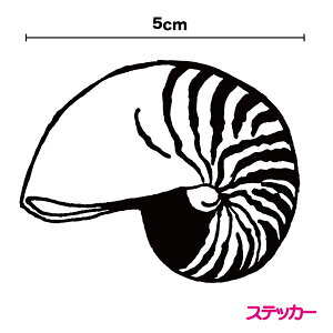 VGbgXebJ[IEL 5cm IEKC Lk C ̓ V[ L [C   oCN |Cg  T[t{[h Vm[PO Xm[{[h JbeBOV