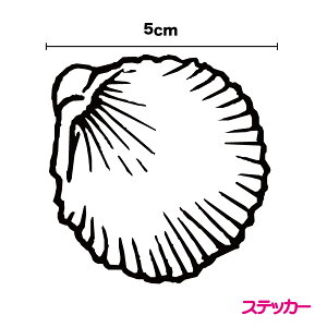 VGbgXebJ[Lk 5cm񖇊L C V[ L [C l } nCA   oCN |Cg  T[t{[h Vm[PO Xm[{[h JbeBOV[g 