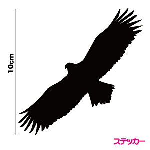  C[O@XebJ[ C[OEyIׂJ[11ށz h h tB V[  oCN wbg Xm[{[h  T[t{[h  Bɂ yV ʔ
