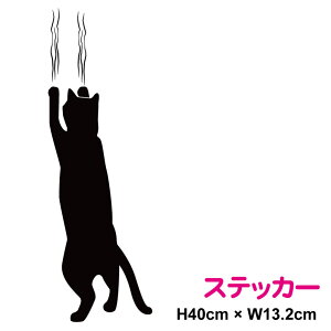 y JbeBOXebJ[ zL 40cmL ybg  CAT ԑ   rbO 傫 킢  L LD ܂Ƃ  JbeBO fJ[ V[  Xm[{[h 3