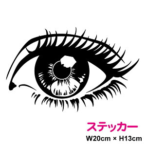 JbeBOXebJ[AȖ20cm V[    ܂ ڗ JR  e T NjbN X h~ hƃJ h Qb悯 悯  KX Xm[{[h T[t