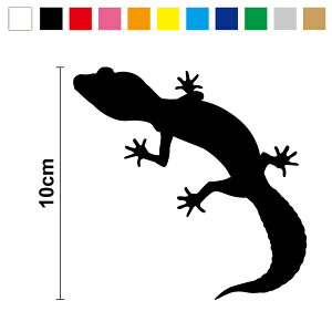 qEgJQhL  ঒ XebJ[ Ip QbR[ XebJ[B 10cm3M(X[G) ] fJ[ h JbeBO V[ 3000~ȏ̍wł䂤pPbg͒^O