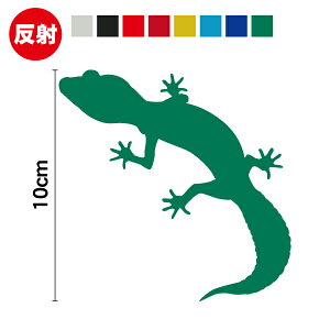 y  z qEgJQhL B XebJ[ 10cmJbeBOXebJ[  gecko QbR[ Ǝ 킢  V[ JbeBO AEghA h  oCN wbg Xm