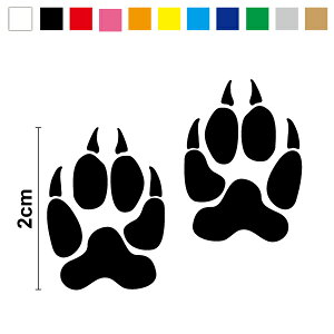 yJbeBOXebJ[z~j XebJ[ 쌢 2cm3M X[G  Ck  h V[ AEghA  oCN wbg Xm[{[h  B  yAe[