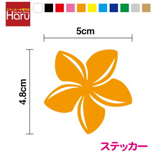 yJbeBO XebJ[zvA 5cm 킢 s ʉ@ o Oo S ^] V[ nCA gsJ JbeBOV[g JX^ r[`][g t_X 