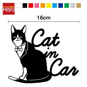 y JbeBOXebJ[ zcat in car XebJ[ n` 16cm3M(X[G) L  킢 ˂ V[  h AEghA ANZT[ LbgCJ[ LĂ܂ lR 