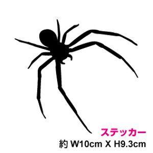 yVGbgXebJ[zNCyJ[11ށz]ʃXebJ[/JbeBOXebJ[fJ[/]/h/B/XebJ[/T[tB/oCN/XpC_[/^`/w/Xm[