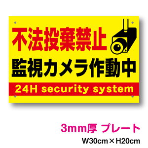 y pl  zs@֎~ĎJ쓮 30cmĎ  S~ S~u | J hƃJ ĎJ 24 TC ӊN ZLeBXebJ[ n \ V[ 