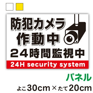 yplzӊNXebJ[hƃJ쓮^_c20cm×30cmZLeB h Ď ^ 24 ΍ ӊN  H  ē {  O wZ   n \  