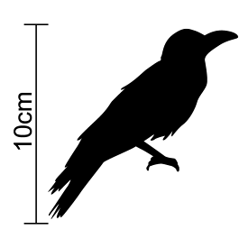 【 シルエット ステッカー 】 カラス 10cmからす おしゃれ 防水 傷隠し シール 鳥 車 バイク かわいい ヘルメット スノーボード 給油口 サーフボード 楽天 通販