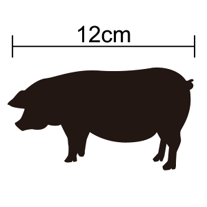 y VGbg XebJ[ z u^ 12cm3JM(X[G) Ԃ  h B V[   oCN 킢 wbg Xm[{[h  T[t{[h yV ʔ