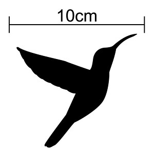 y VGbg XebJ[ z n`h 10cm3M(X[G)  h B V[ n~Oo[h  oCN 킢 wbg Xm[{[h  T[t{[h yV ʔ