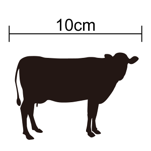 y VGbg XebJ[ z  h B V[ zX^C  _ {Y  oCN wbg Xm[{[h  T[t{[h yV ʔ