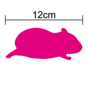 y VGbg XebJ[ z nX^[ WvJbeBOV[g JbeBOXebJ[  h B V[  oCN 킢 wbg Xm[{[h  T[t{