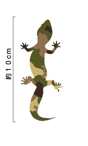 y  ঒ XebJ[ zqEgJQhL h V[ XebJ[ O   gJQ ঒ 킢   B wbg X[cP[X m[gp\R