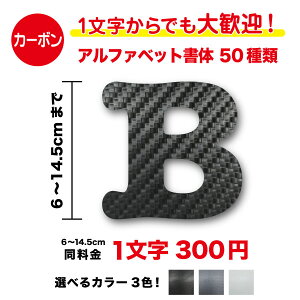 y3M(X[G)tBgpzꕶ甃y J[{V[g zAt@xbg XebJ[ 6cm`14.5cmp [} O l[ Ж X  oCN wbg bvtB 