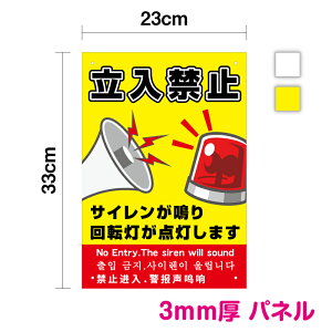 y pl  z֎~TC ]_܂c 33cm ×  23cmŔ TC s@N  ӕ\ ӊN ZLeBXebJ[ p  ؍ pgv n