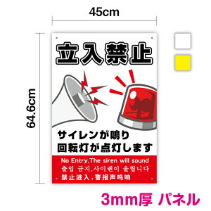 y pl  z֎~TC ]_܂c 64.6cm ×  45cmŔ TC s@N  ӕ\ ӊN ZLeBXebJ[ p  ؍ \ ΍ 