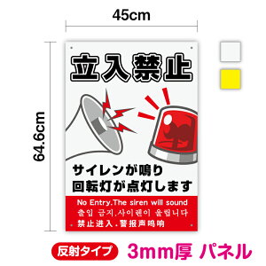 y pl  z֎~˃^CvTC ]_܂c 64.6cm ×  45cmŔ TC s@N  ӕ\ ӊN ZLeBXebJ[ p  ؍ 