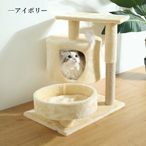 yN[|ōő20zLbg^[ u L^[ RpNg 53cm ^   Lbgc[ ܂Ƃ Ђ  xbh  킢 X ȃXy[X