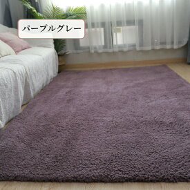 【マラソン★最大50％OFFクーポン】ラグ ラグマット カーペット ソフトシャギー シンプル シンプル 無地 北欧 上品 絨毯 じゅうたん 厚手 模造カシミヤ かわいい 洗える 北欧風 ふわふわ 秋 冬 床暖房対応 長方形 おしゃれ オールシーズン 高級感 ふんわり 冬用 暖かい