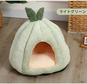 y}\ybgxbhSiő40OFFzybgnEX h[^ eg^ ڂ^ 􂦂 H ~ S M L 킢 ONbV ӂ ӂӂ  LnEX nEX 