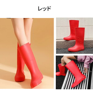 yzCu[c fB[X O䃌Cu[c C Vv  y Sh ₷ ~ C CV[Y hu[c hV[Y JC ʋ ʊw ~