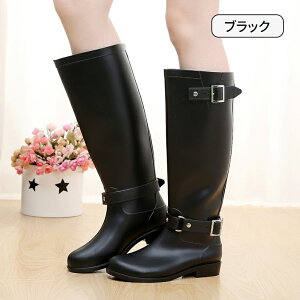 y}\ő2000~OFFCP×P5{zCu[c fB[X  O䃌Cu[c oCJ[u[c obNt C CV[Y hu[c hV[Y JC y Sh 