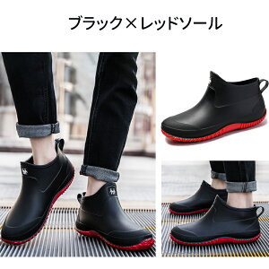 yX[p[SALE聚52OFF×P5zCu[c V[g Y fB[X  V[gCu[c CV[Y hu[c hV[Y JC Sh y [q[ 