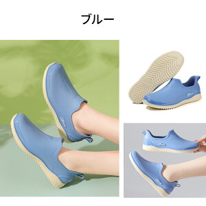 y9/30SiΏ11OFFzCV[Y V[g fB[X CXj[J[ V[gCu[c Sh  y JWA ₷ Ȃ ~ ʋ ʊw 