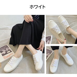 y}\ő2000~OFFCP×P5{zCV[Y fB[X Xj[J[ CXj[J[ AN Sh  y JWA ₷ Ȃ ~ ʋ ʊw r 