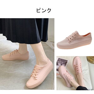 y}\ő2000~OFFCP×P5{zCV[Y fB[X Xj[J[ CXj[J[ AN Sh  y JWA ₷ Ȃ ~ ʋ ʊw r 