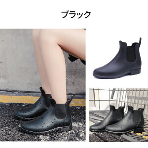 yX[p[SALE聚52OFF×P5{zCu[c fB[X V[g TChSACu[c  y St CV[Y hu[c hV[Y JC Sh ₷