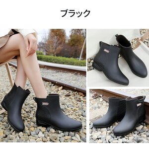 y}\ő2000~OFFCP×P5{zCu[c fB[X V[g  CV[Y y u[c ~h JC hV[Y _C y Sh ₷ ₷ 