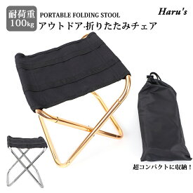 【マラソン最大2000円OFFCP×P5倍】折りたたみ椅子 アウトドア コンパクト 軽量 アウトドアチェア ミニ 子供 持ち運び キャンプ椅子 折り畳み イス 携帯 ミニチェア 小型 アルミ 登山 釣り 運動会 バーベキュー レジャー ピクニック バイク スポーツ観戦 収納袋