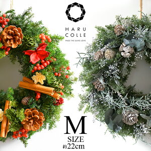 クリスマス リース 生花の人気商品 通販 価格比較 価格 Com